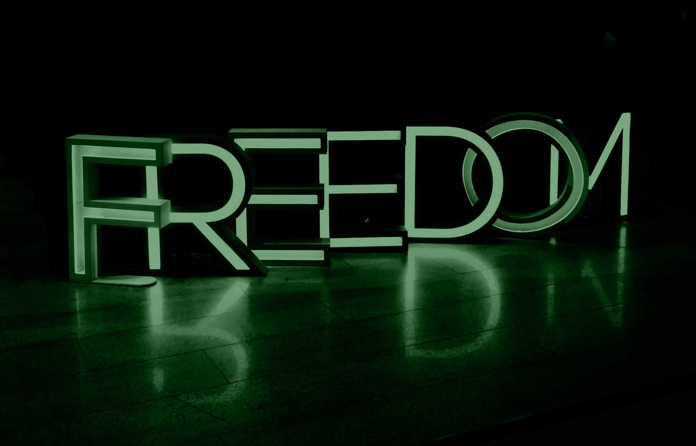 image of the word freedom to represent what it feels like to get out of debt