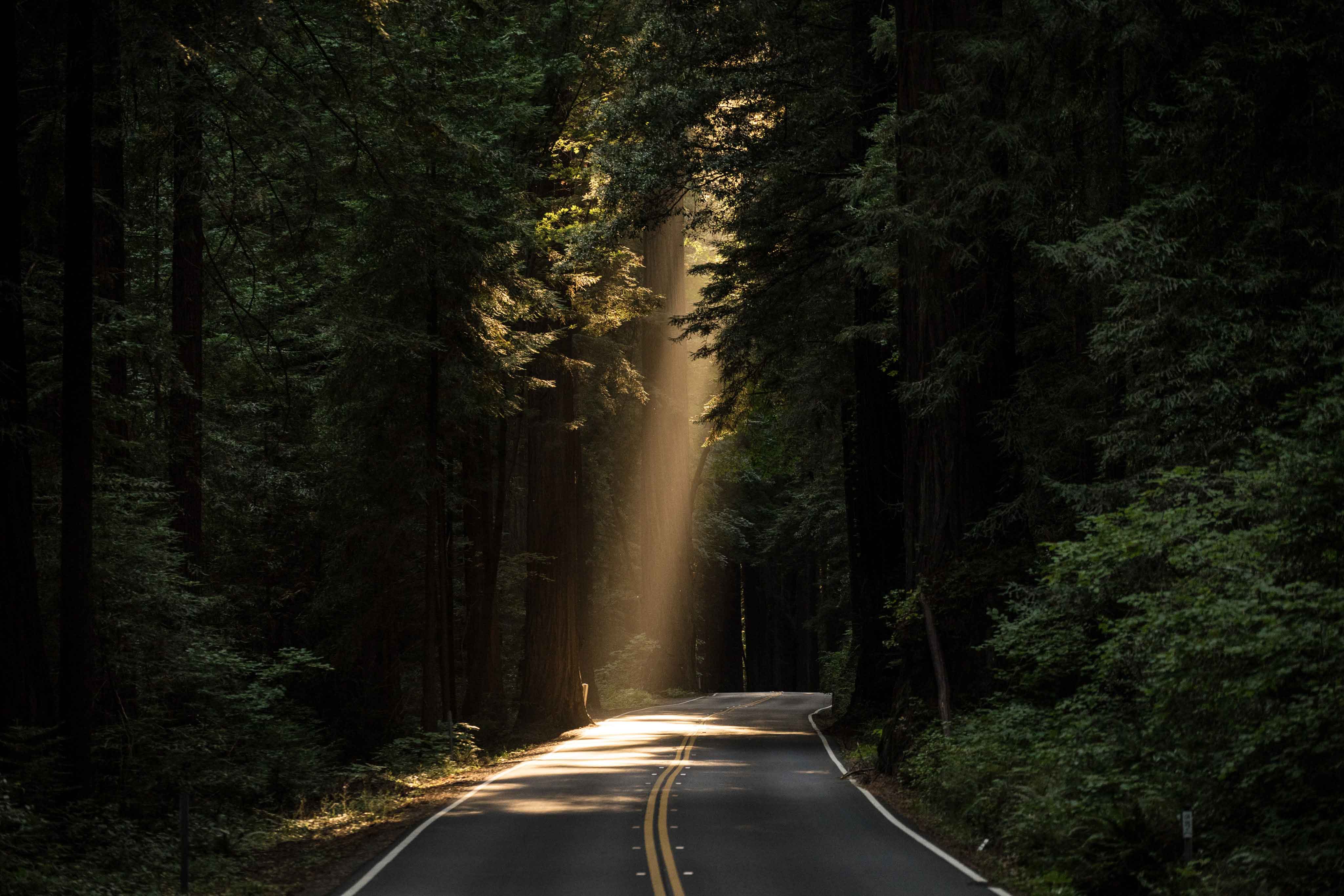 How I Doubled My Income After Divorce || a light shining on one stretch of road in the woods