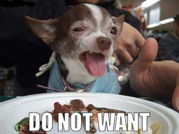 a picture of a dog gagging from food with text that says "DO NOT WANT."