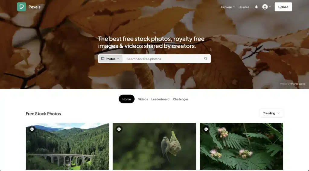 Pexels homepage. Where I go to get photos to make better websites