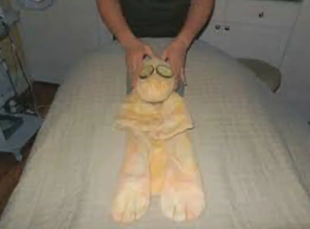 Joshie the Giraffe getting a massage at the Ritz Carlton to help answer the question how much should I charge for a website design